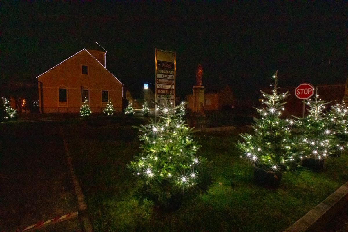 Image 5535216 (auto)