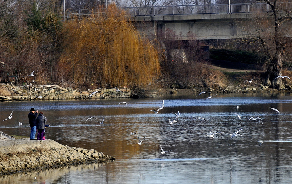 Klikom po Dravi Klikom po Dravi