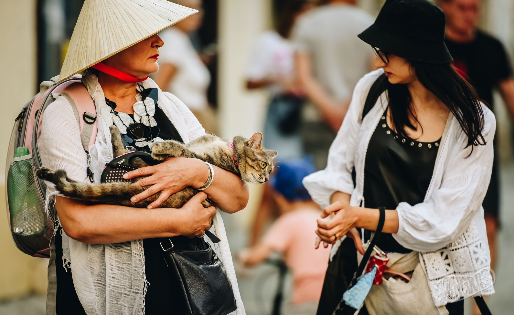 Image 5808845 (auto)