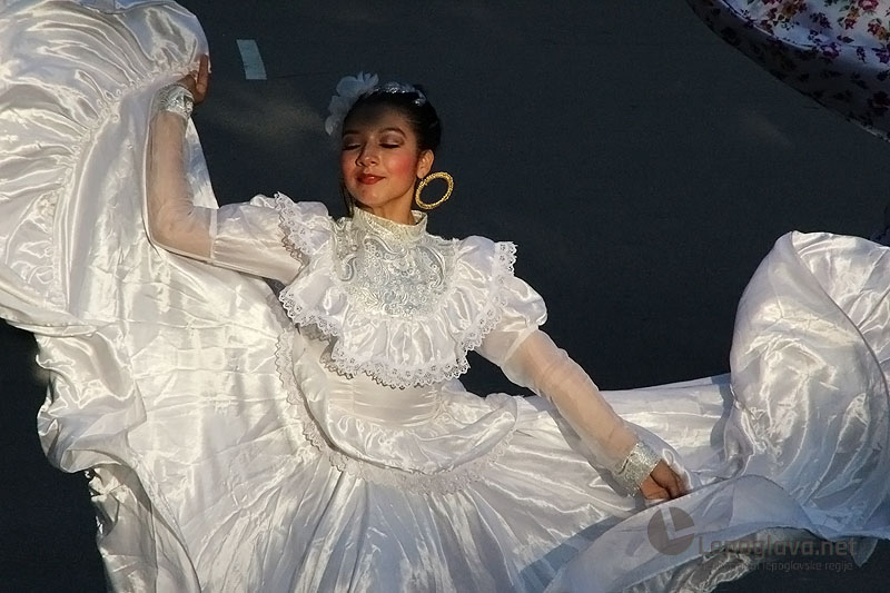 mekasikanciuvisnjici10710419