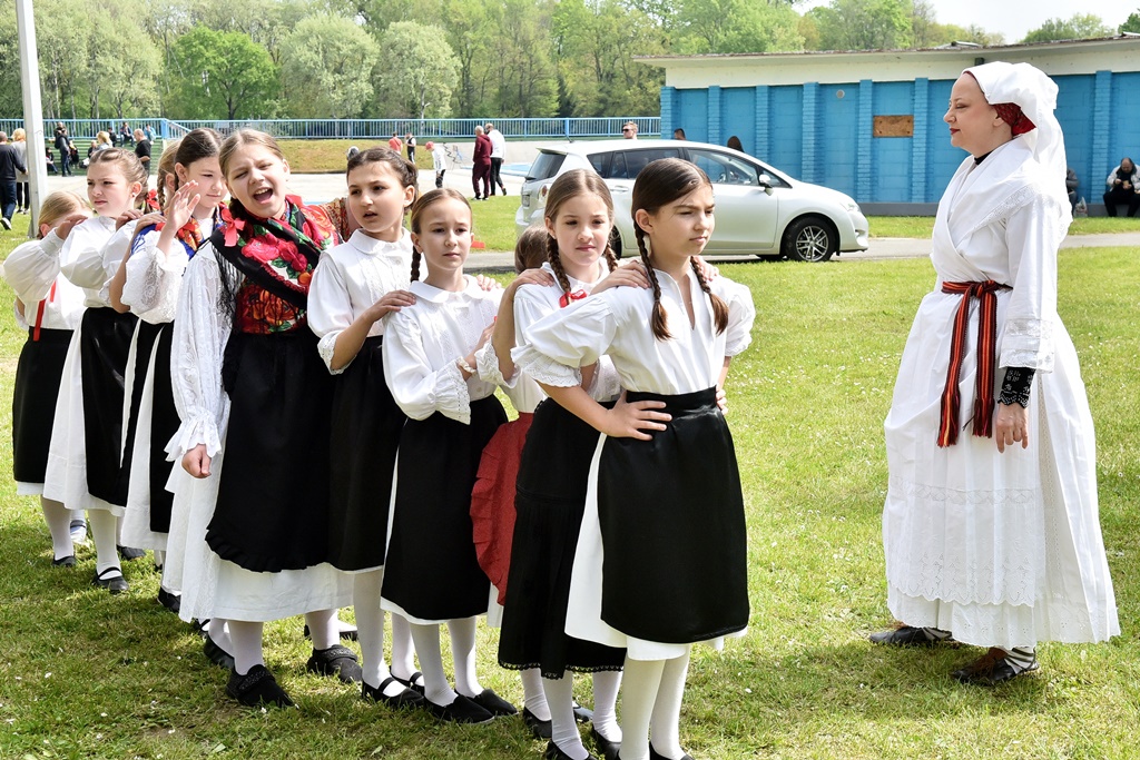 Image 5678231 (auto)