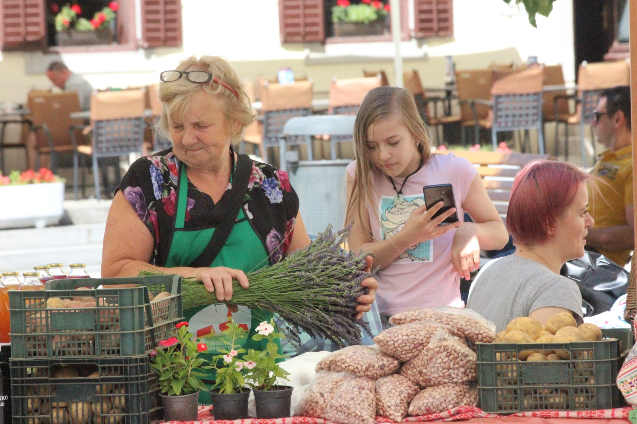 Image 3705061 (auto)