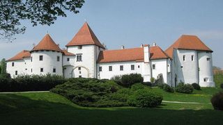 starigrad03550176