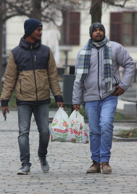 Image 5609987 (auto)