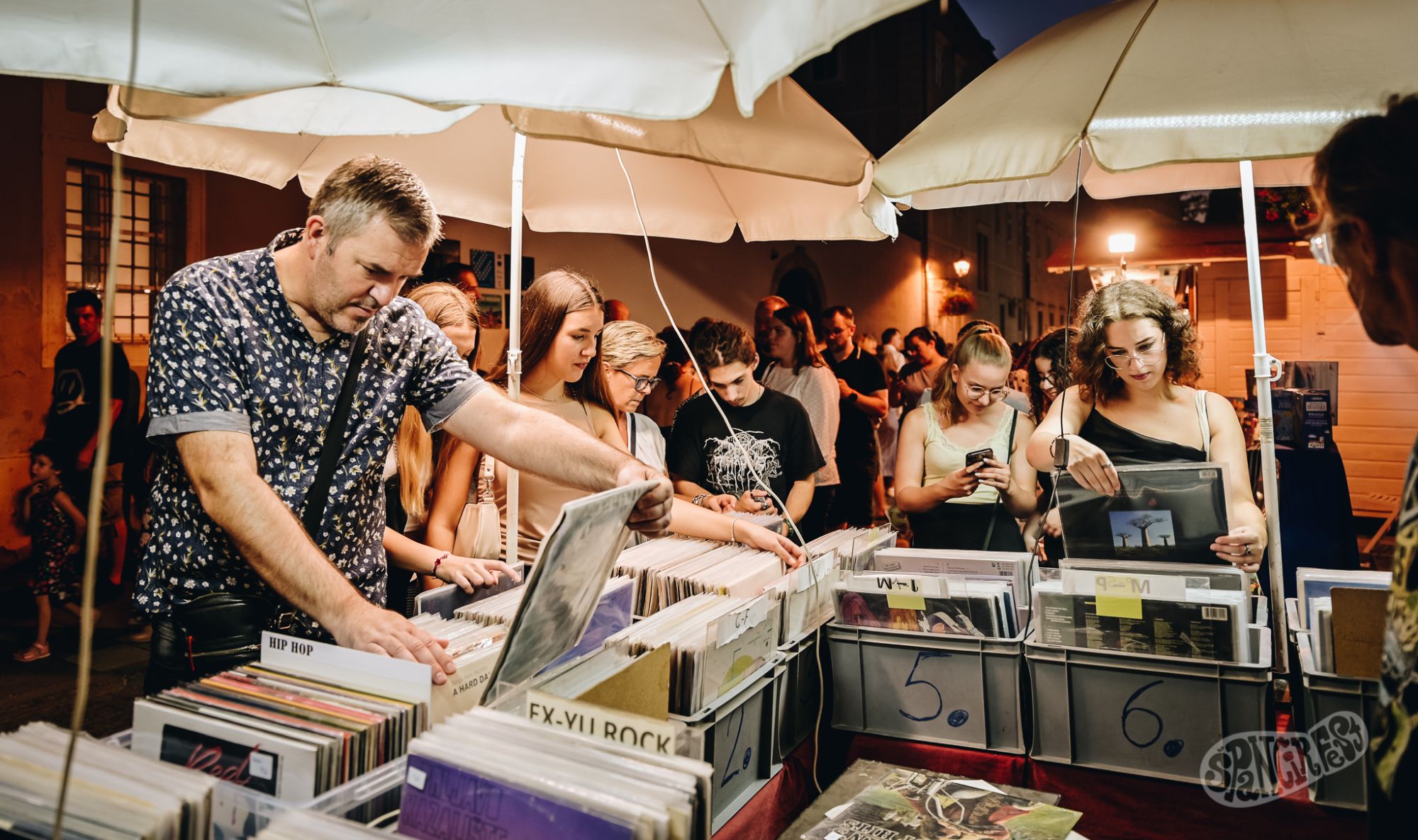 Image 5808789 (auto)