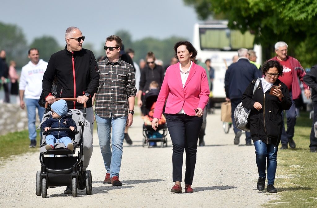 Image 5678209 (auto)