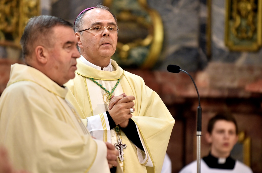 Image 5568785 (auto)