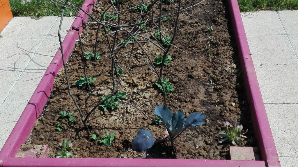 img20180425123321863437