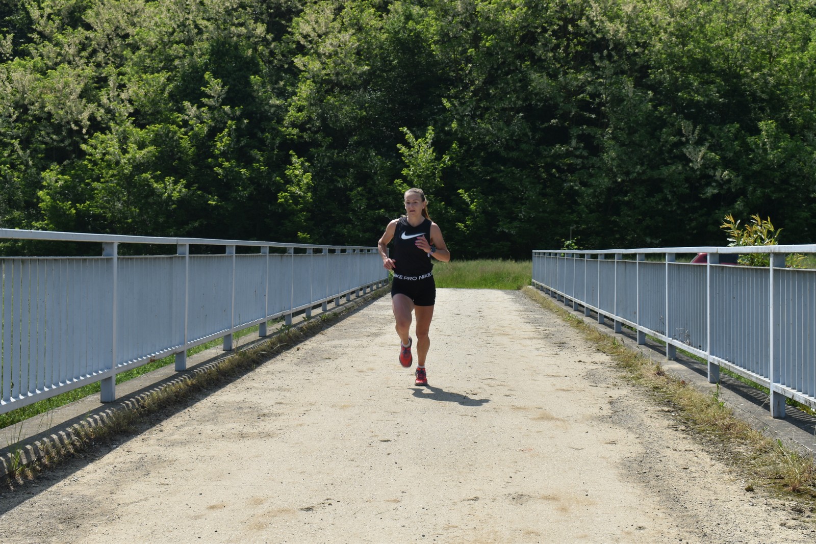 Image 5714005 (auto)