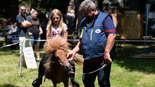 Konjičke igre u Zelendvoru