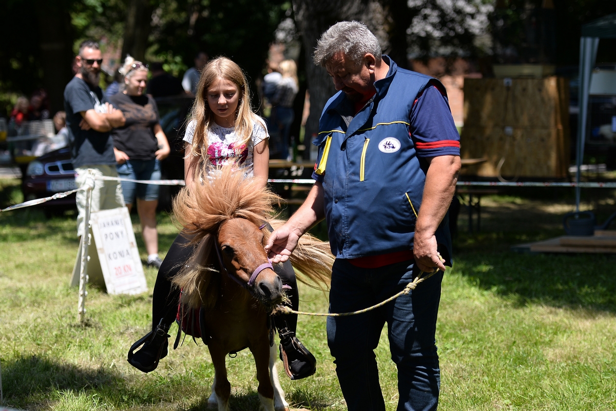 Konjičke igre u Zelendvoru