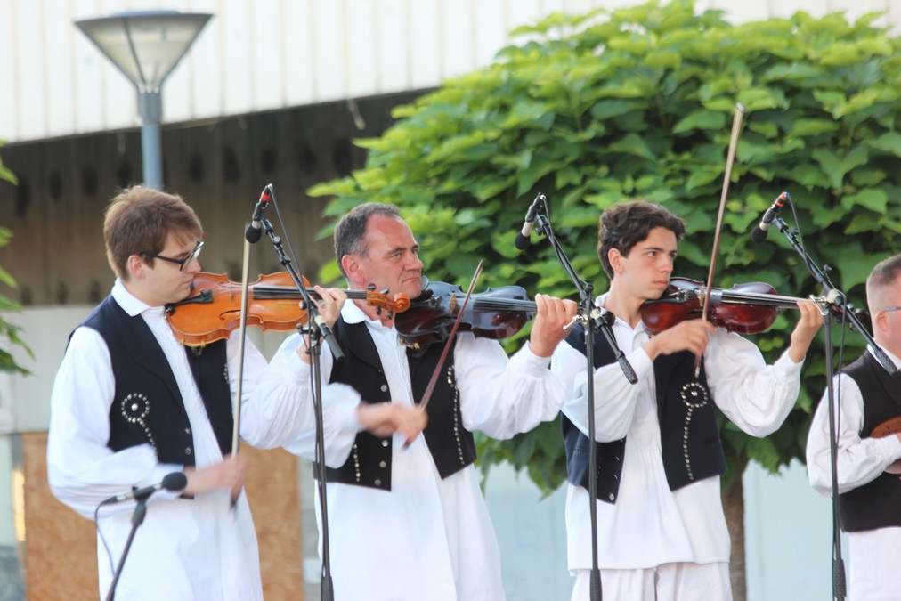 Image 5416578 (auto)