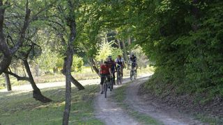 beretinecbbkasinovastaza1989988