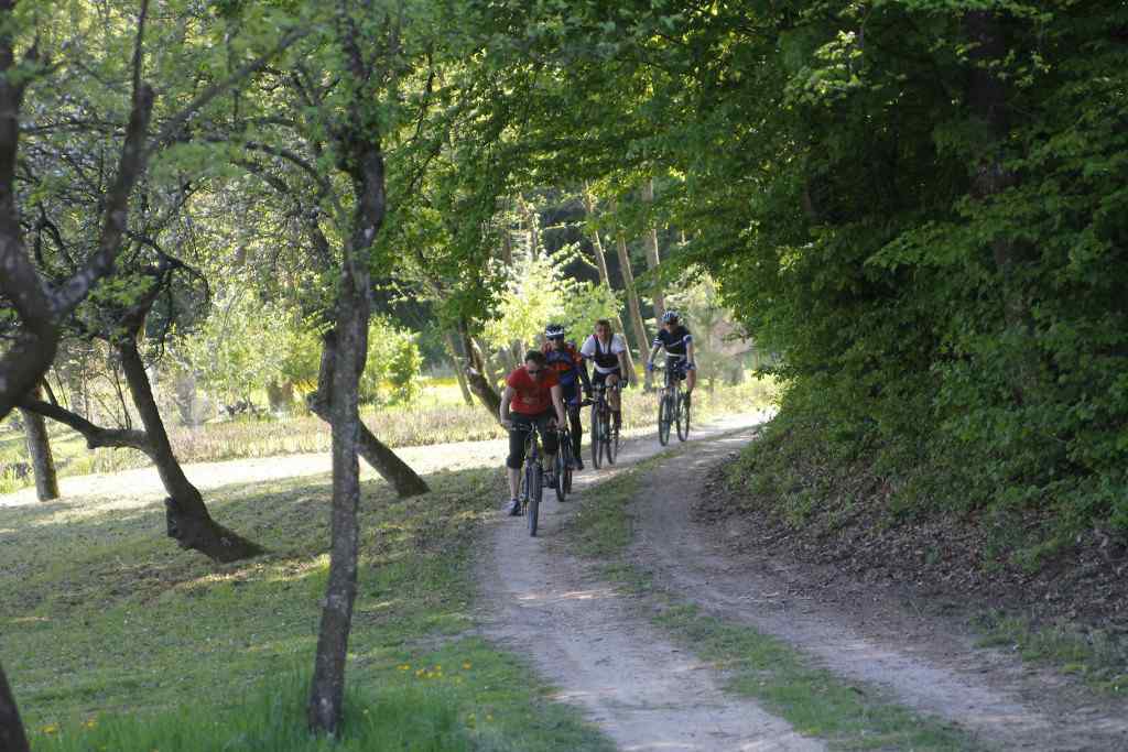 beretinecbbkasinovastaza1989988