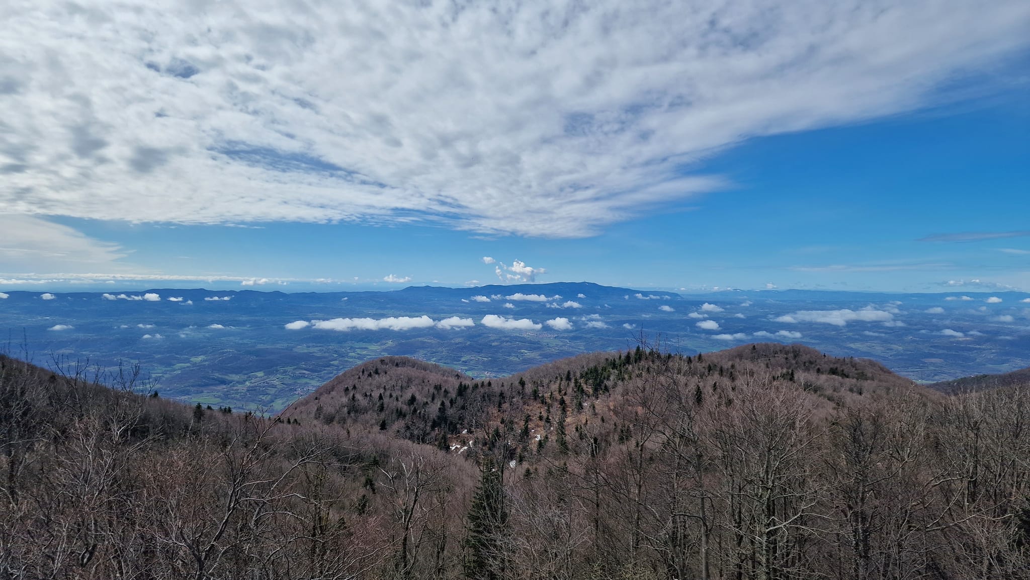 Image 5647563 (auto)