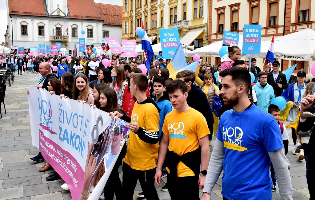 Image 5345648 (auto)