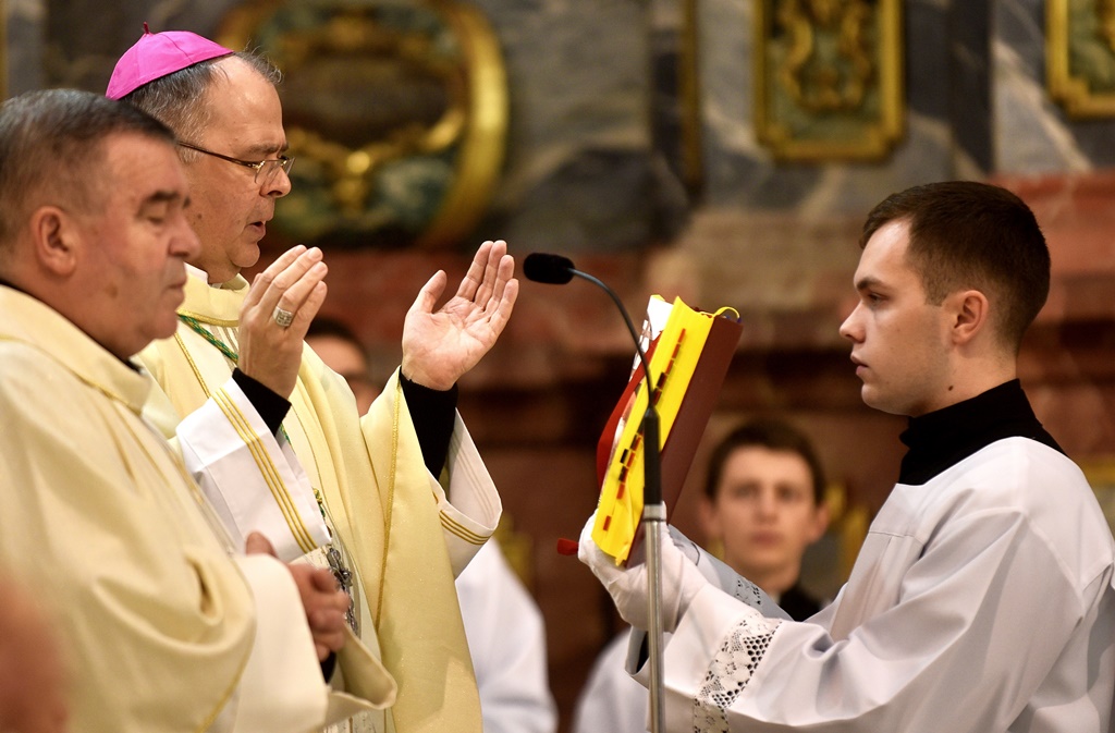 Image 5568797 (auto)