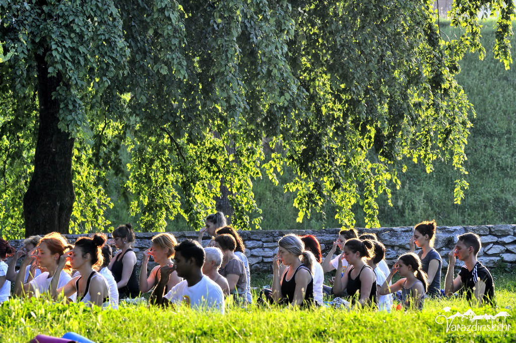 Međunarodni dan joge 2019