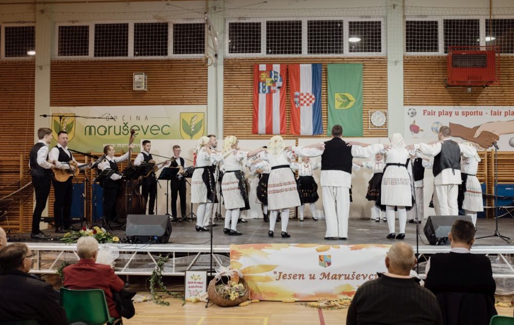 Image 5911821 (auto)