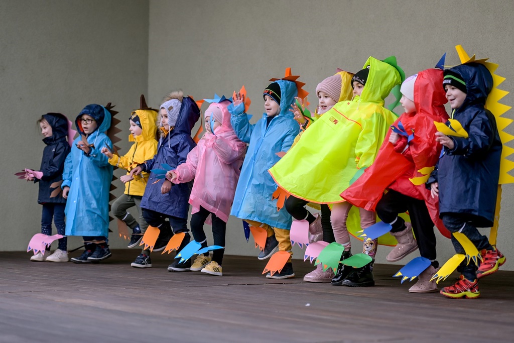 Image 5611449 (auto)