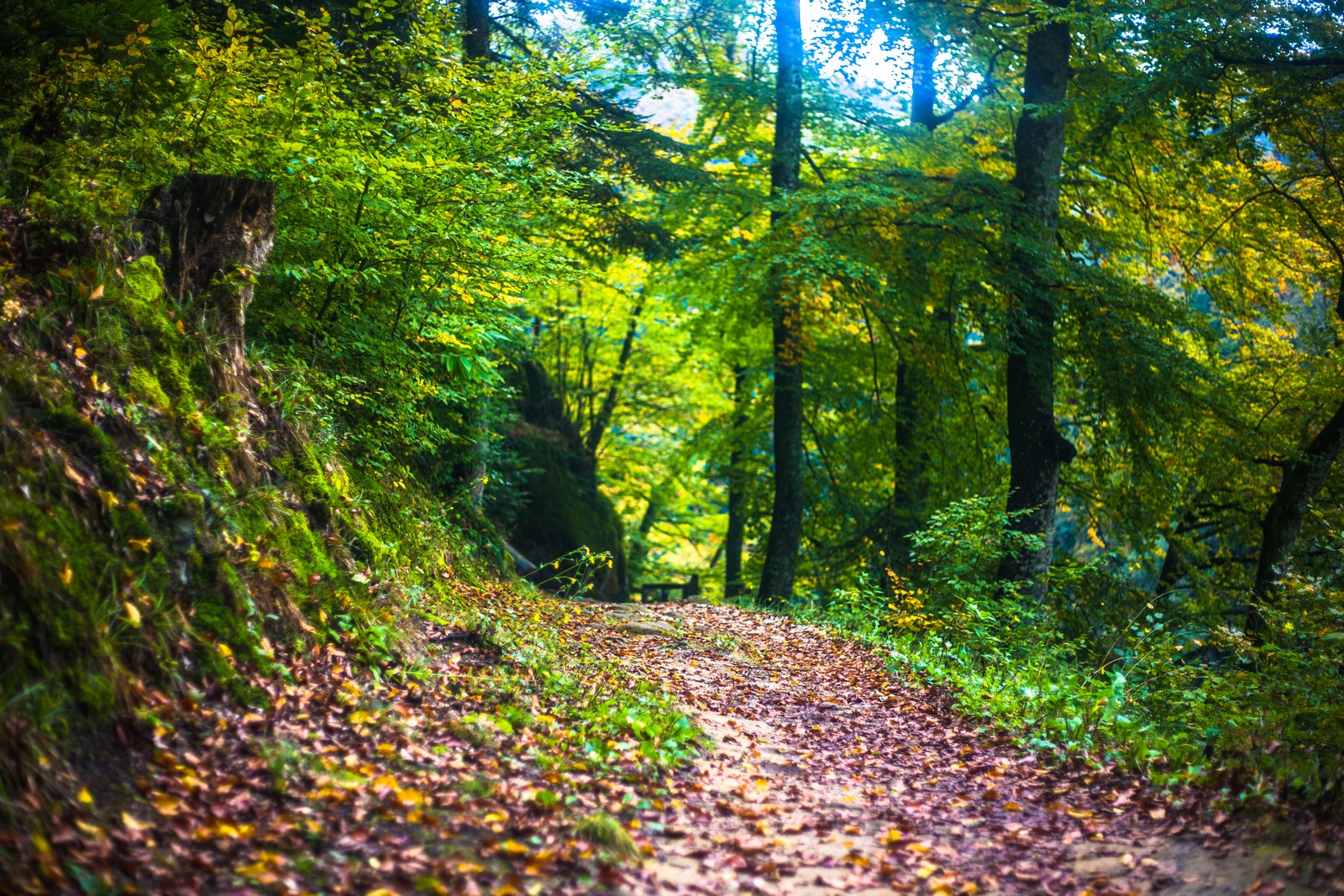 Jesen u Trakošćanu