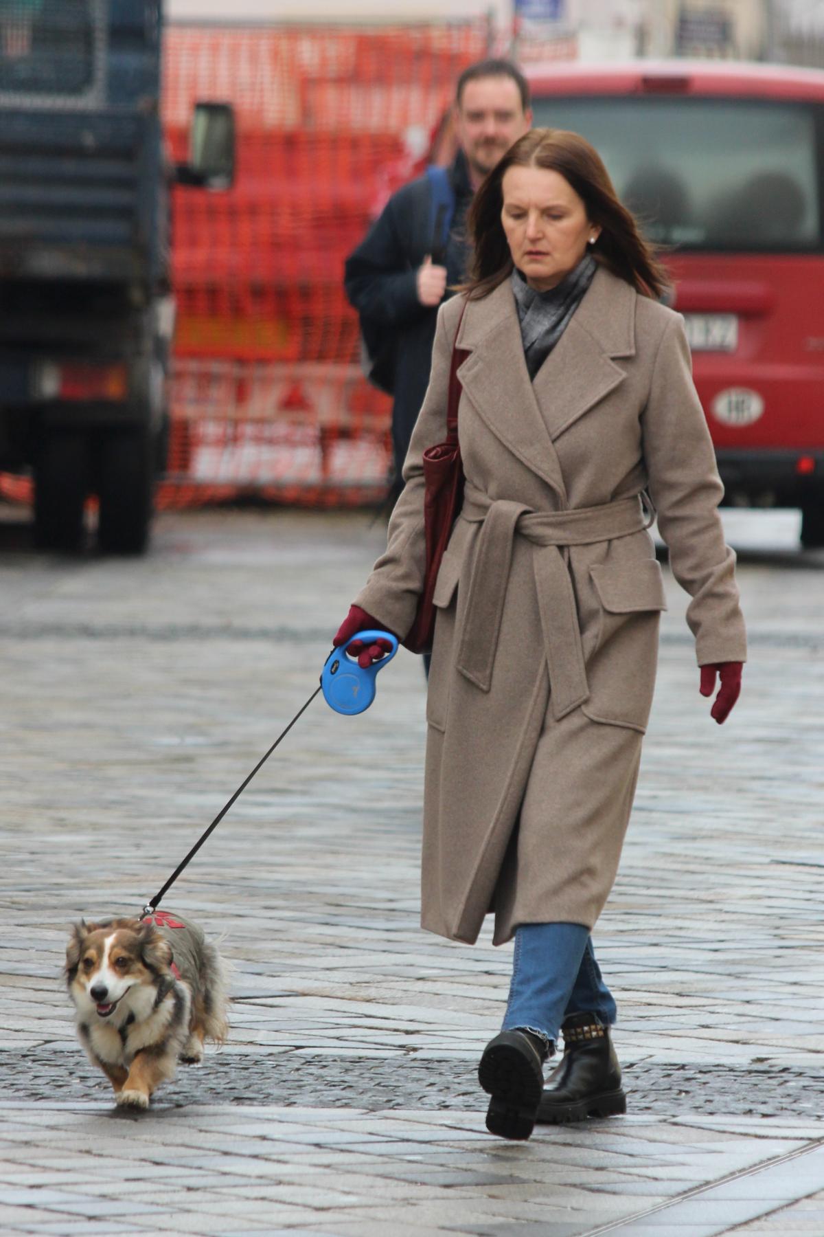 Image 5585095 (auto)