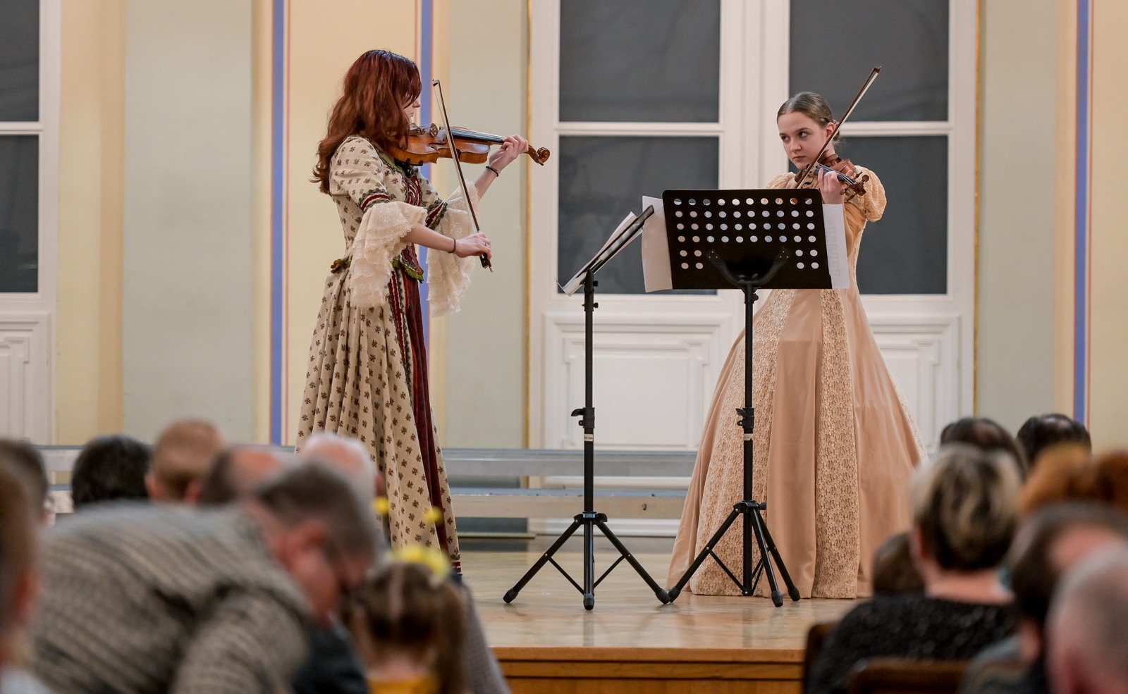 Image 5609905 (auto)