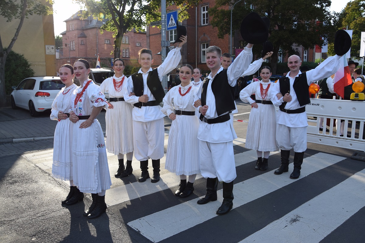 Image 5771853 (auto)