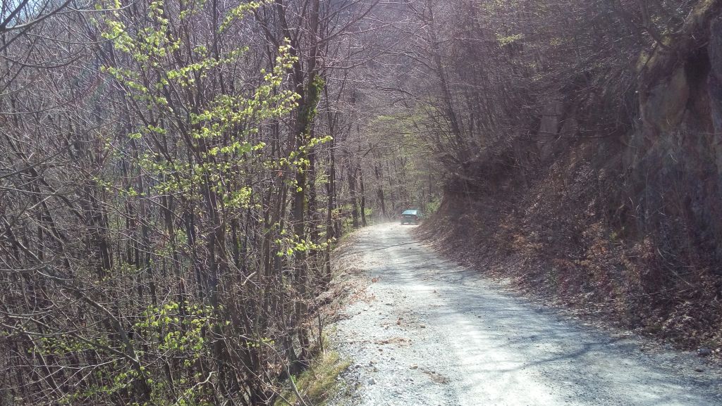 20150411120320467661