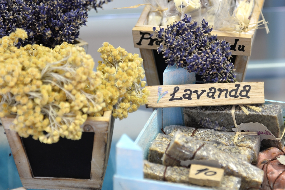 festivaldvorista3853652