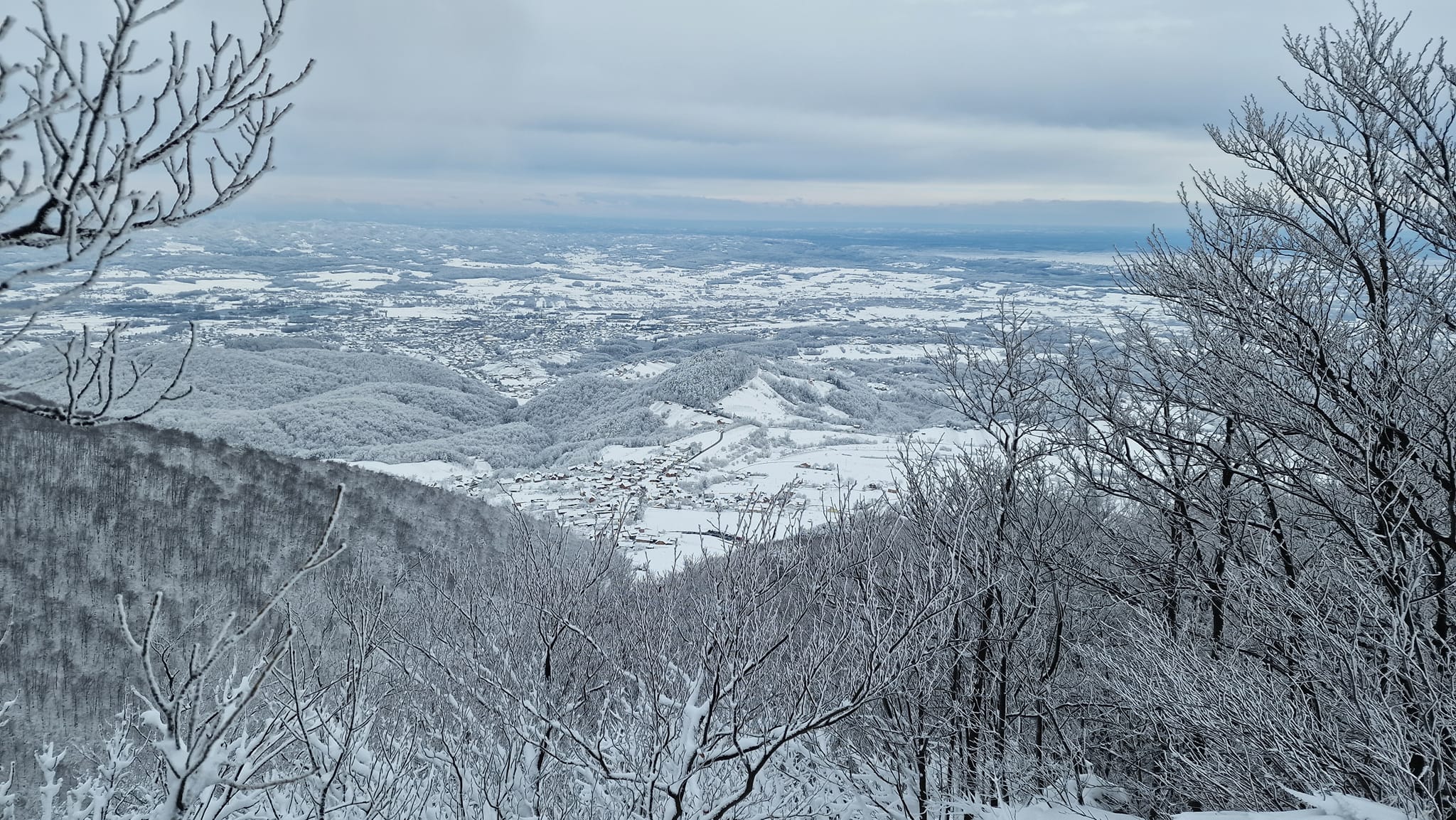 Image 5616147 (auto)