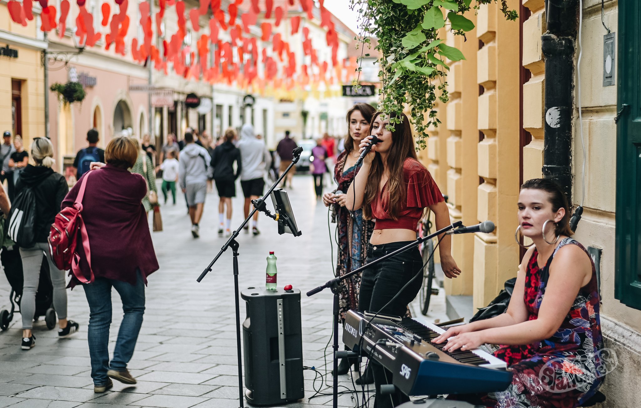 Image 5453758 (auto)