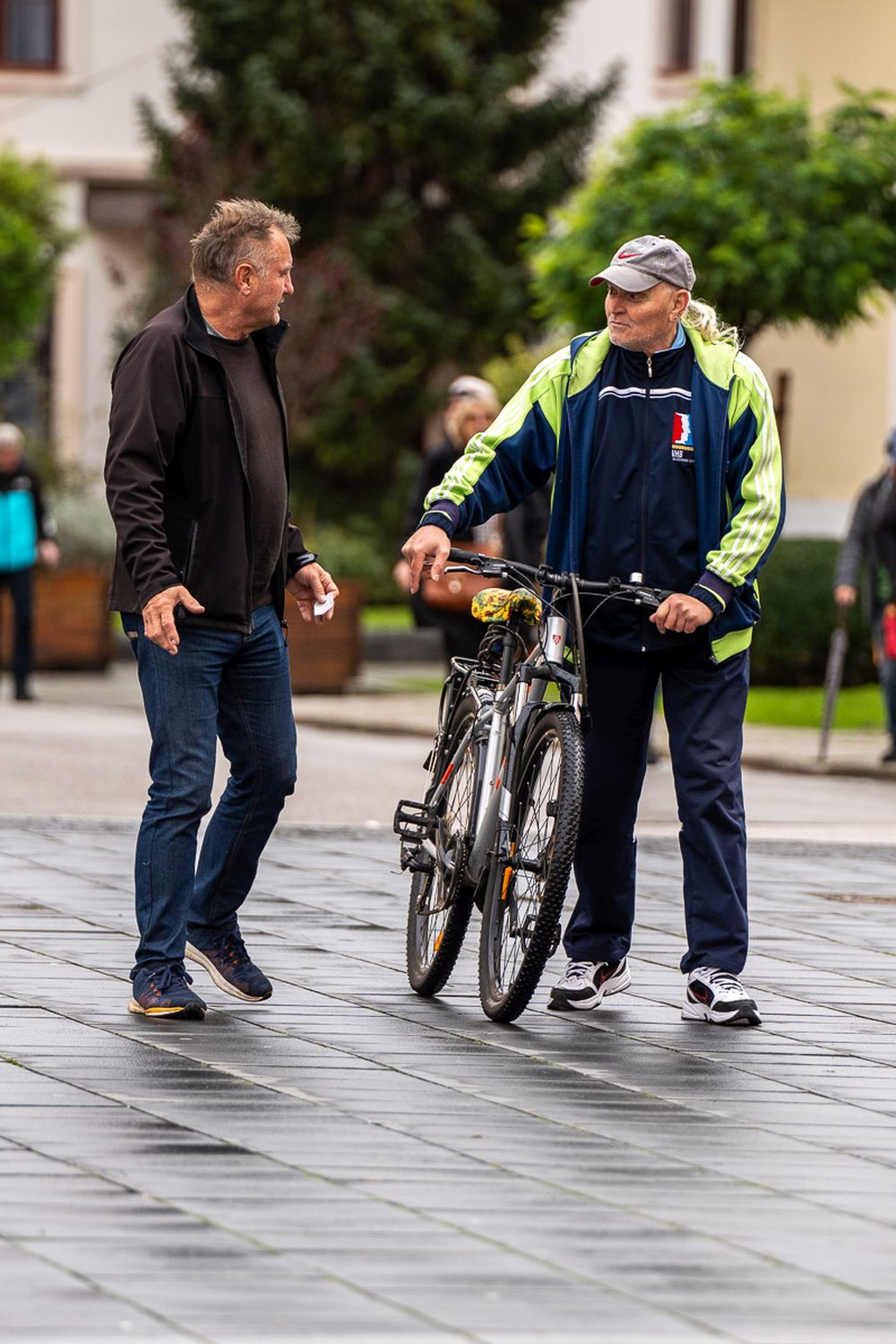 Image 5896309 (auto)