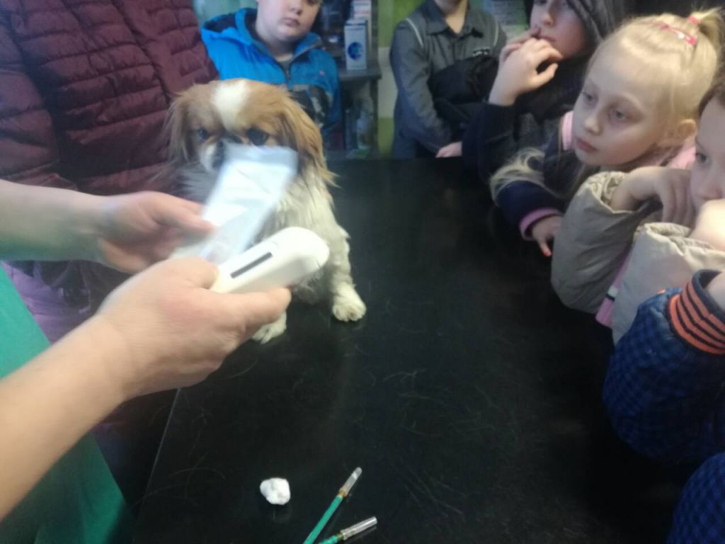 img8ebf30641f49352eb6635545603a