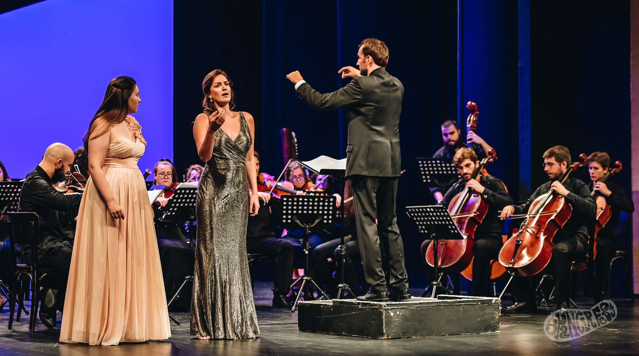 Image 5460038 (auto)