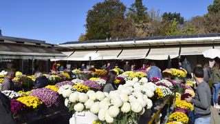 Gradska tržnica Varaždin Gradska tržnica Varaždin