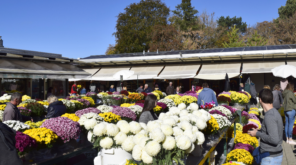 Gradska tržnica Varaždin Gradska tržnica Varaždin