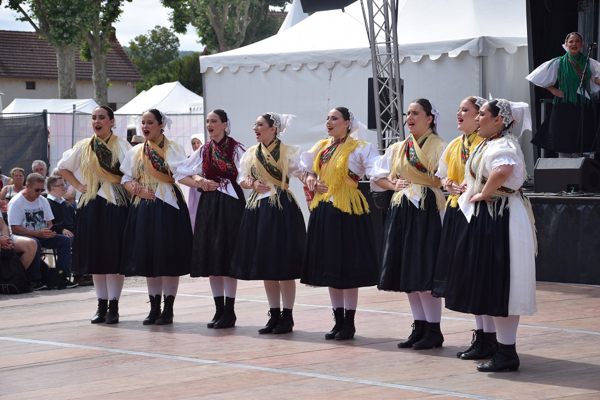 Image 5793029 (auto)