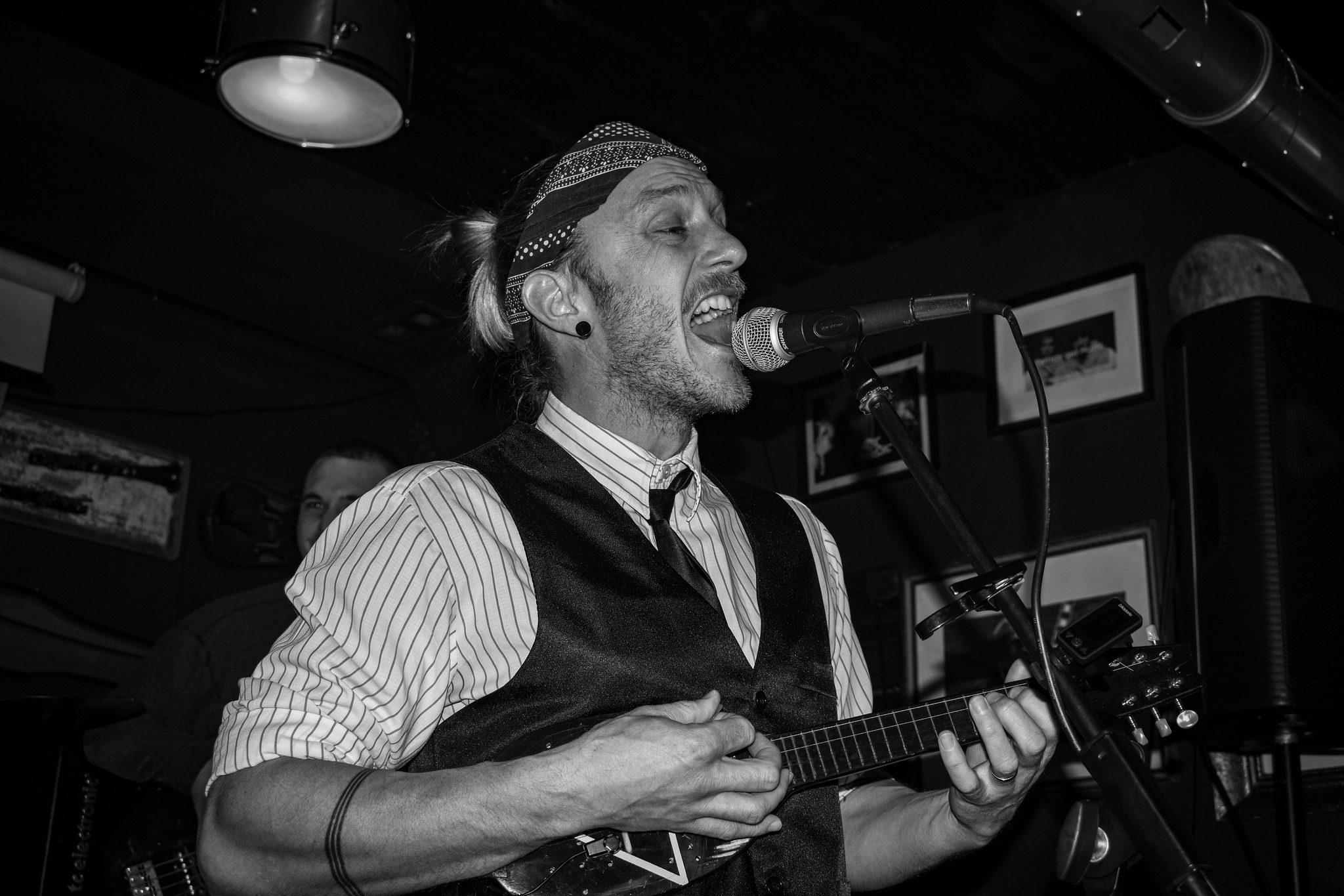 Dodger Artfool The Vipers