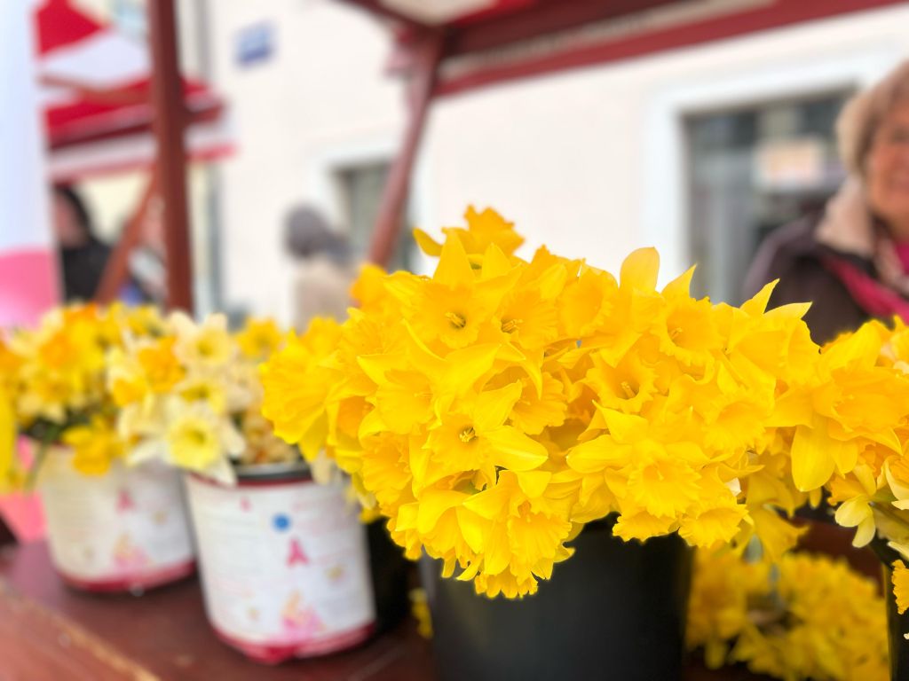 Dan narcisa Grad Varaždin