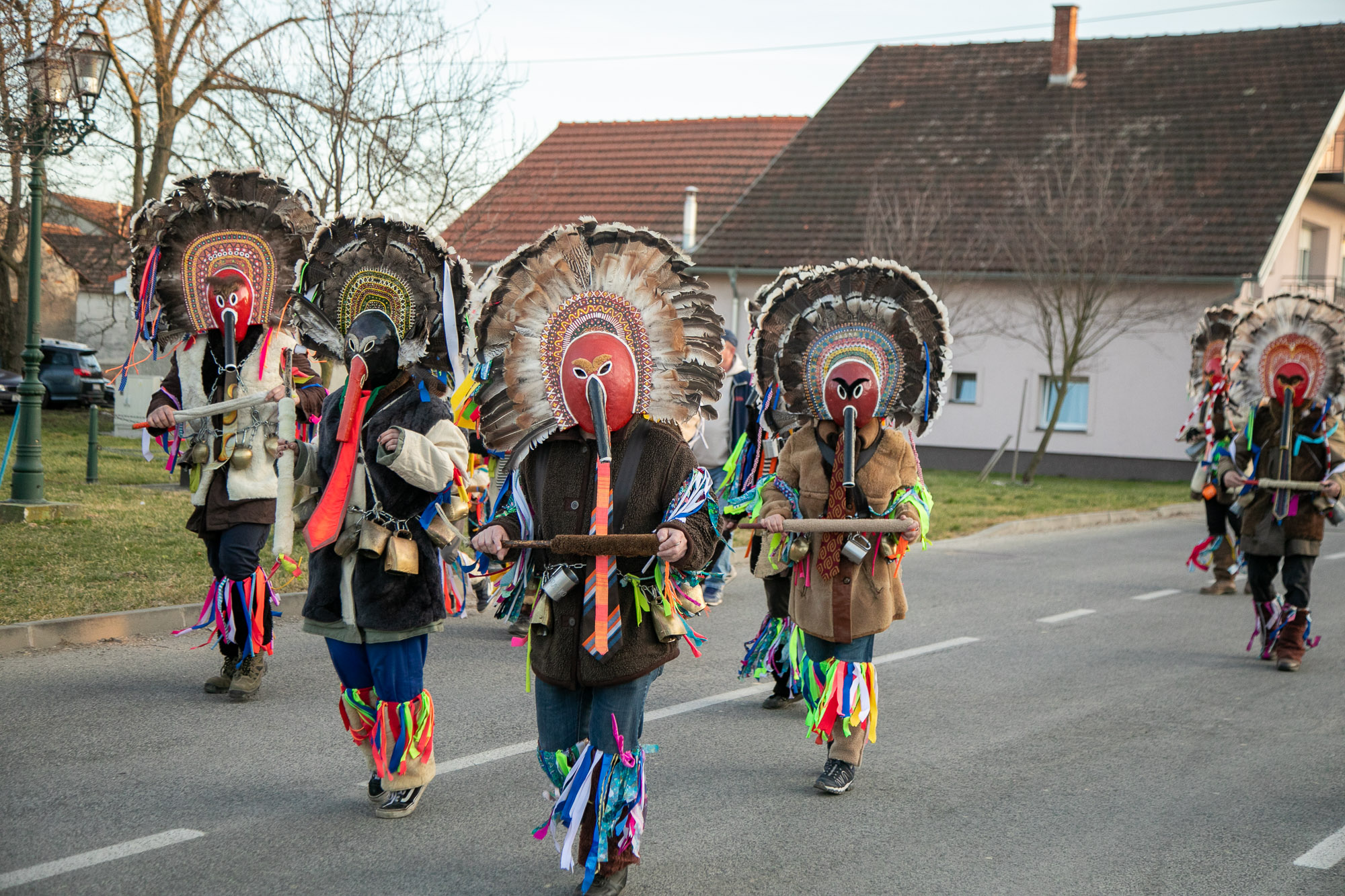 Image 5613877 (auto)