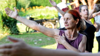 Image 2703031 (auto) Image 2703031 (auto)