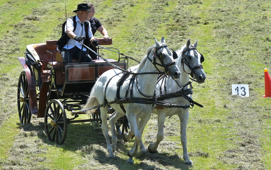 Image 5377166 (auto)