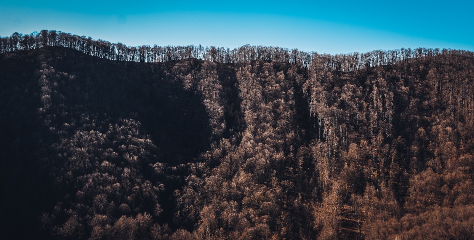 Vražji stolček 20.02.2020.