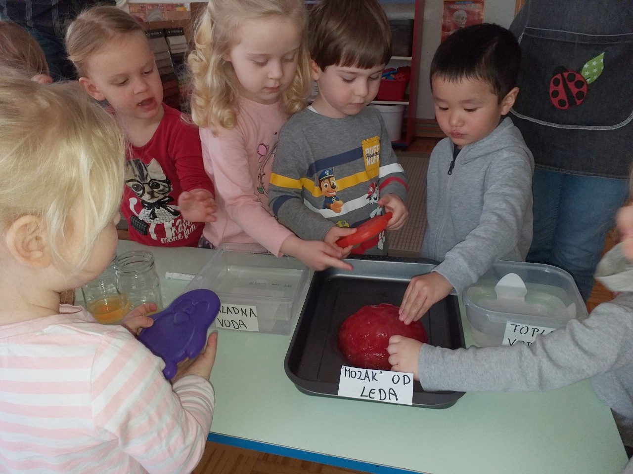 Dječji vrtić Bajka Tjedan mozga