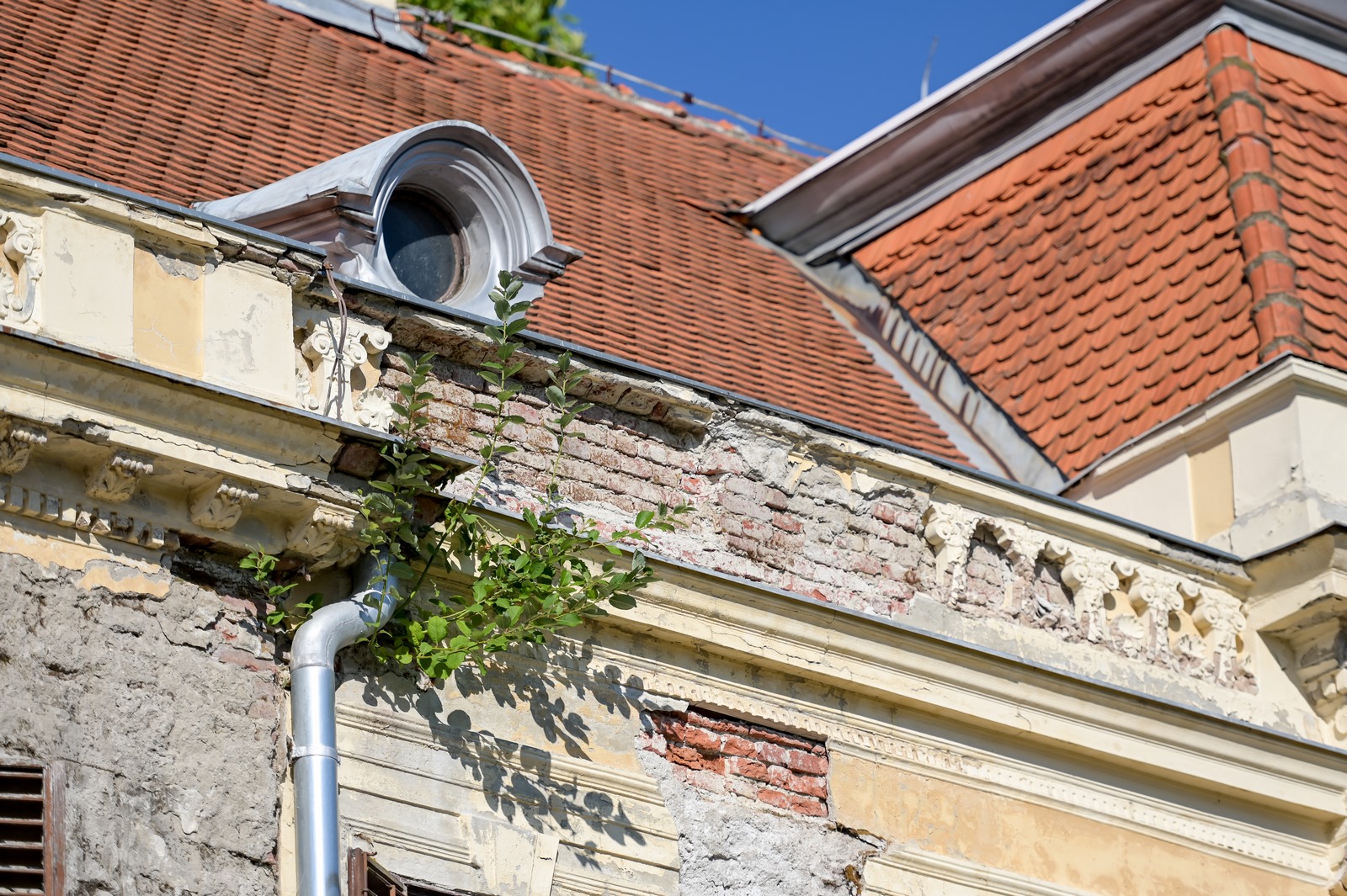 Image 5425488 (auto)