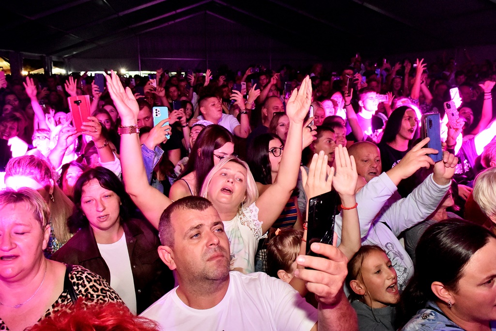 Image 5462324 (auto)