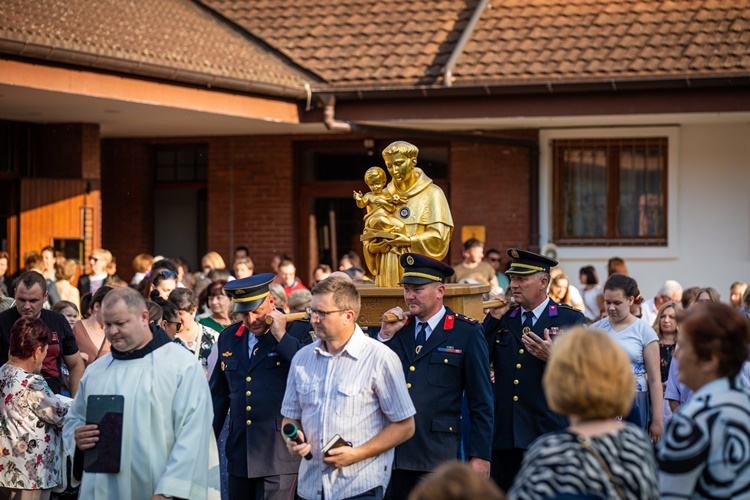 Novi Marof Dan grada, procesija