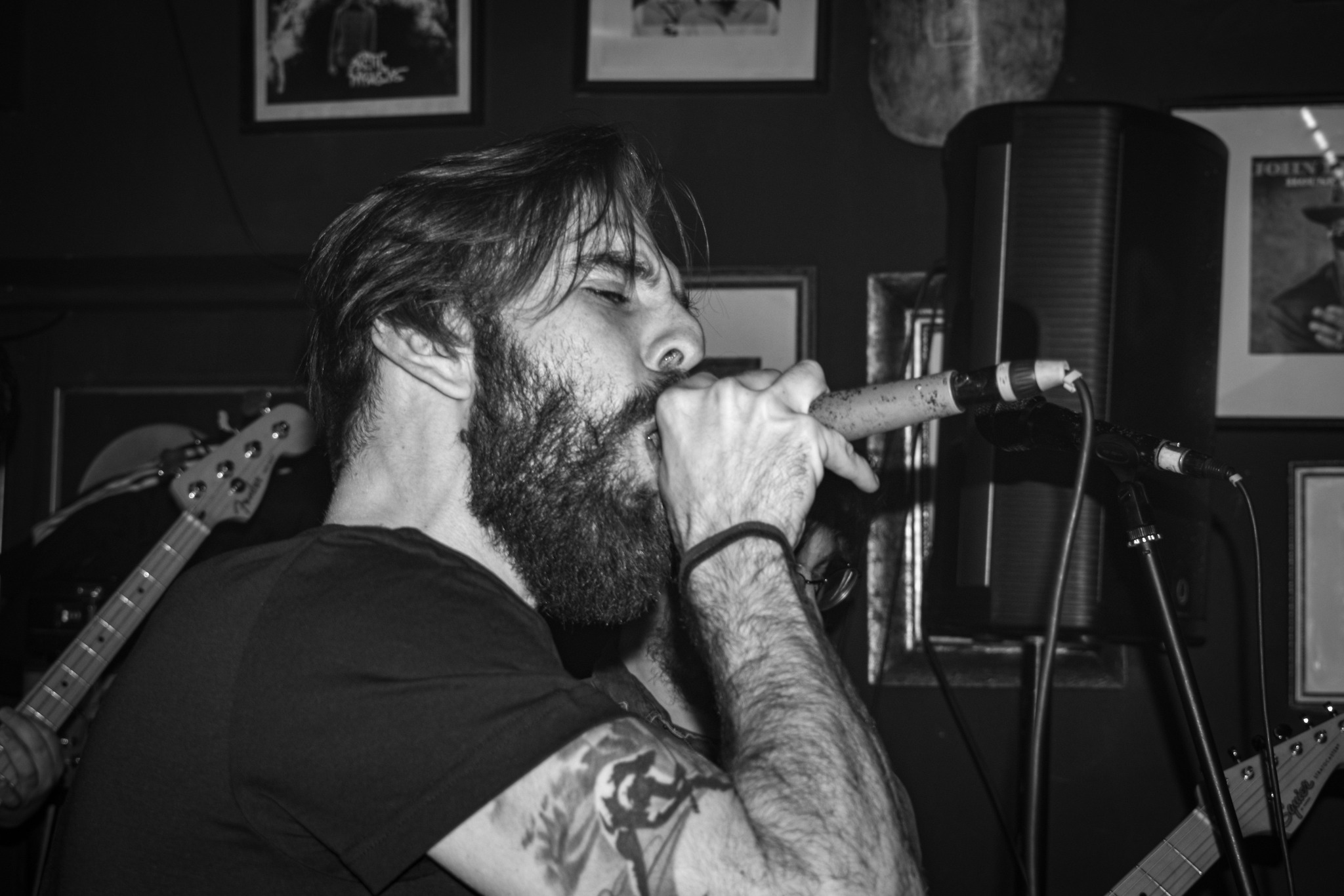 Dodger Artfool The Vipers