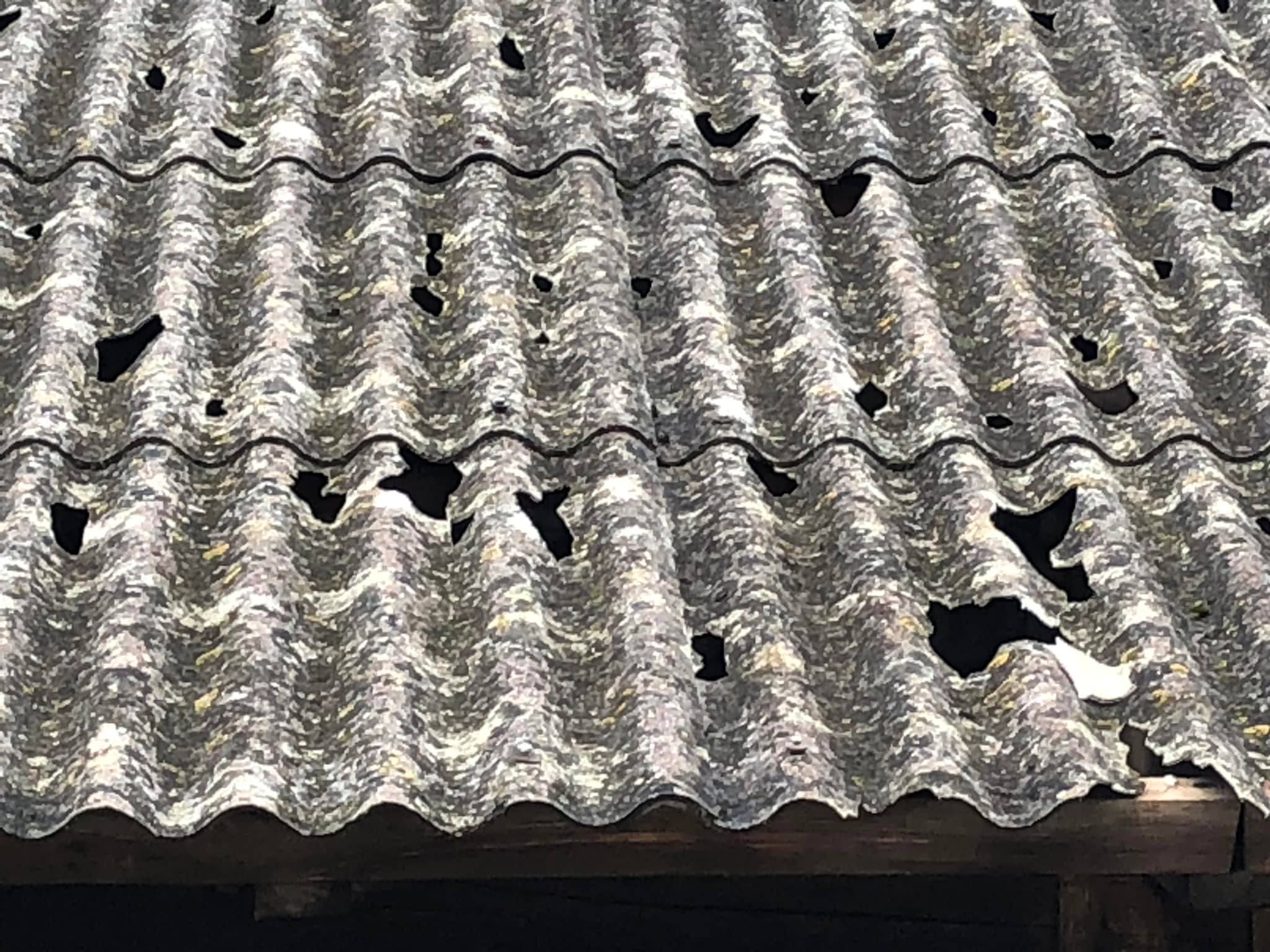 Tuča Veliki Bukovec